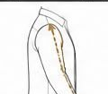 Arms / Sleeves Length